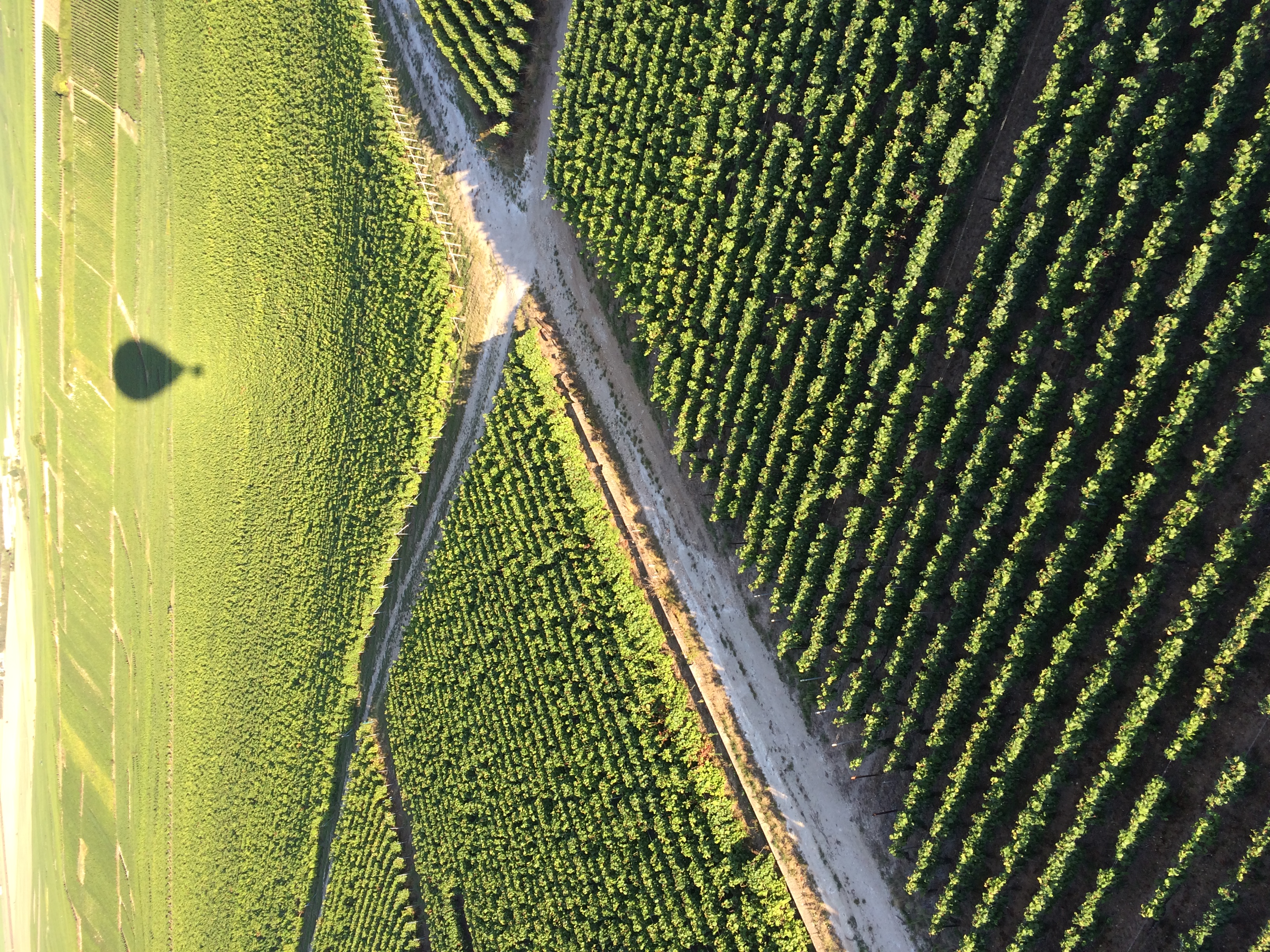 Denis Frézier｜ ヌーヴェル・セレクション Nouvelles Selections Inc